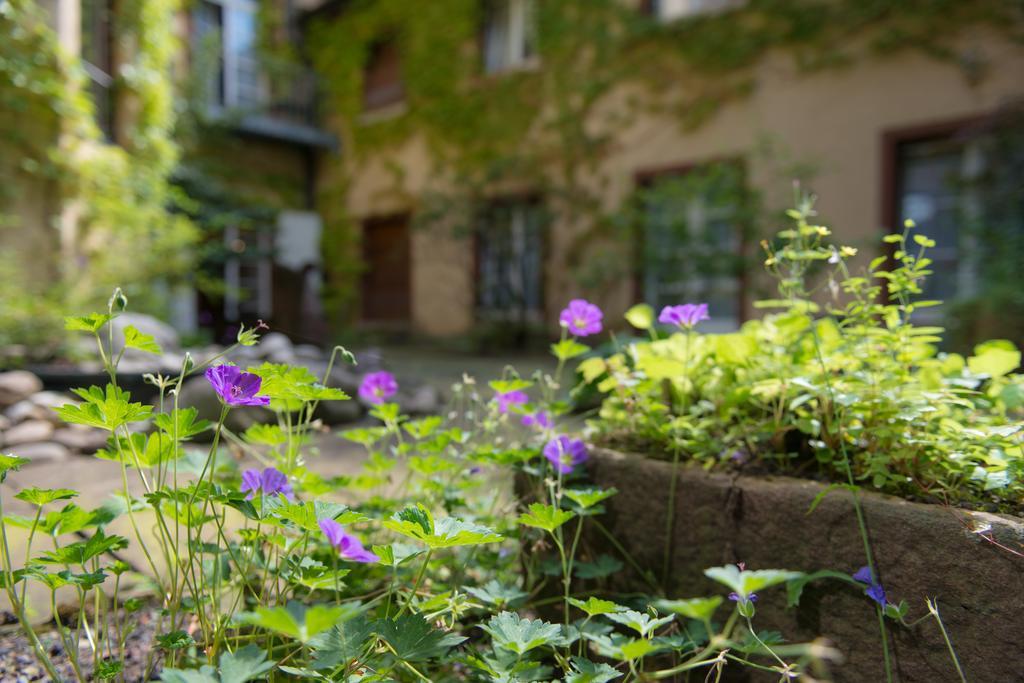 Zum Roten Baeren Hotel Freiburg im Breisgau Buitenkant foto